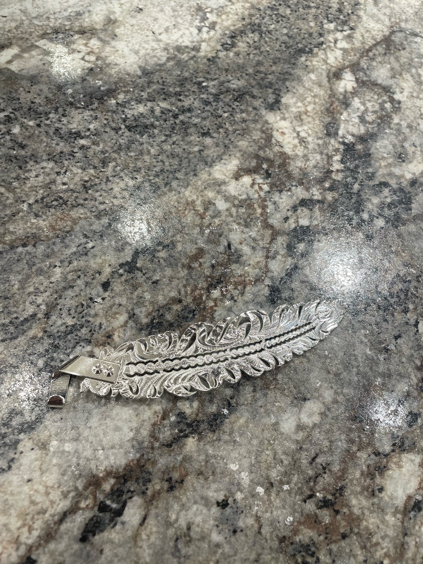 Pluma De Acero Plata